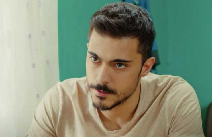 yigit di forbidden fruit